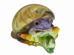Frog in the Shell 五【 kengtaro ケンタロー 】 カエル ボロシリケイトガラス 職人 作家 蛙 かえる フロッグ 個性的 かわいい おしゃれ ペンダント トップ