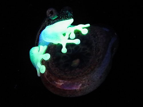彩 いろどり 六 Kengtaro ケンタロー カエル ボロシリケイトガラス 蛙 かえる フロッグ 個性的 かわいい