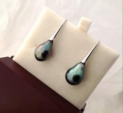 タヒチパール 南海真珠 シェパードフック ピアス 【スターリングシルバー】