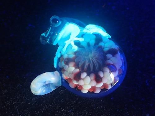 kengtaro ケンタロー 花 2013年 カエル ガラス 作家