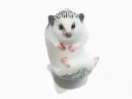 CLING / クリング 『 アニマル リング ハリネズミ 』【 RELAX / リラックス 】 動物 指輪 アクセサリー アニマル かわいい おしゃれ キュート