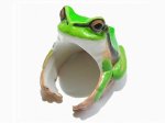 CLING / クリング　『 アニマル リング アマガエル 』【 RELAX / リラックス 】 蛙 フロッグ 指輪 アクセサリー 動物 おもしろ 個性的 楽しい ユニーク