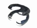 メンフクロウの足 リング (ブラック) 【 Molly Tippett モリー ティペット 】 アクセサリー 鳥 バード 梟 ふくろう 上品 エレガント 指輪 綺麗
