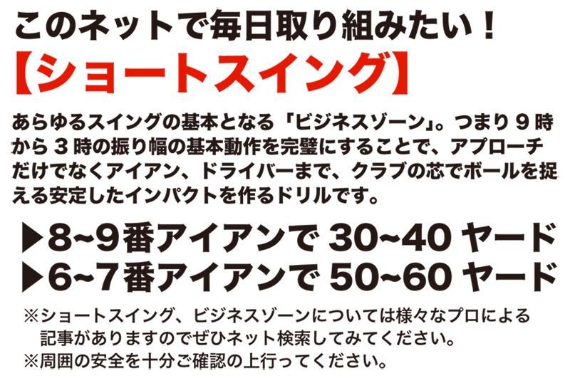 楽天市場】新製品 ショートゲームネット （サポートネットMINI