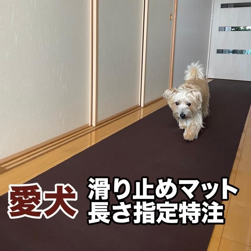 愛犬のための室内用 滑り止めマット Home Choco 65cm幅 長さ10cm単位販売