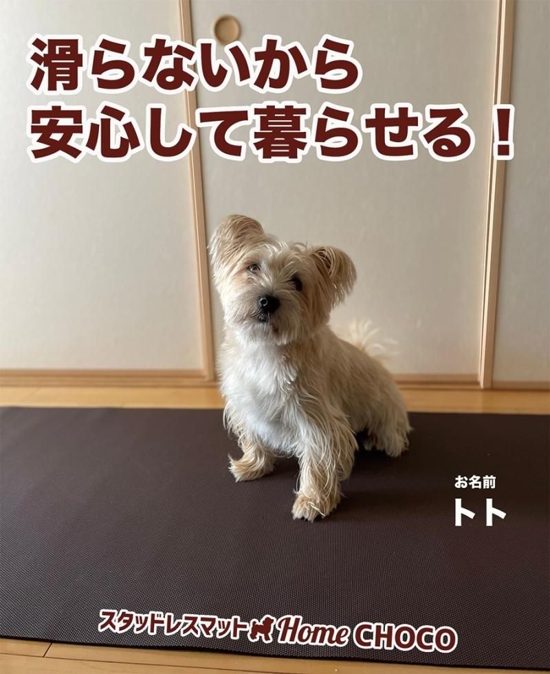 愛犬のための室内用 滑り止めマット Home Choco 65cm幅 長さ10cm単位販売