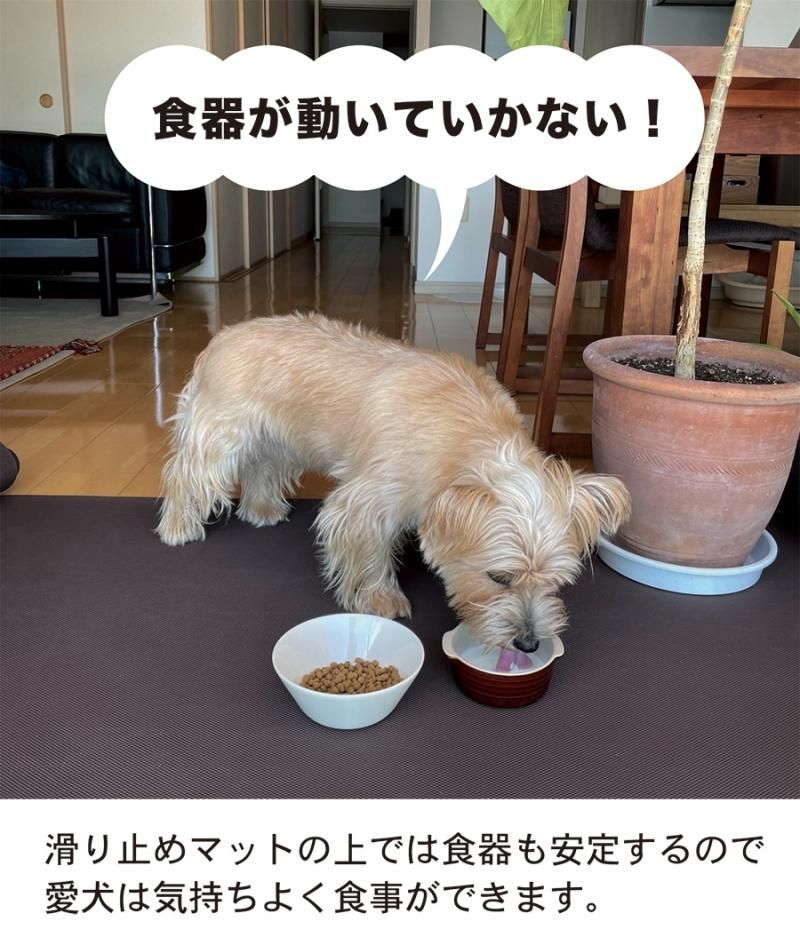 愛犬のための室内用 滑り止めマット Home Choco 65cm幅 長さ10cm単位販売