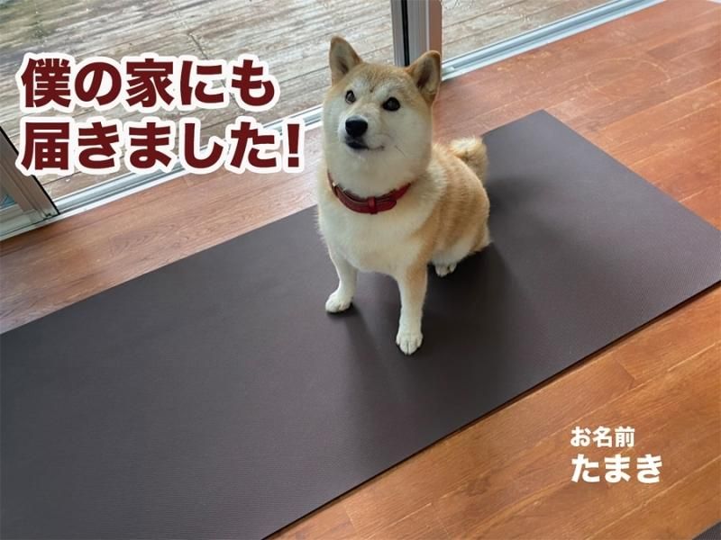 愛犬のための室内用 滑り止めマット Home Choco 65cm幅 長さ10cm単位販売