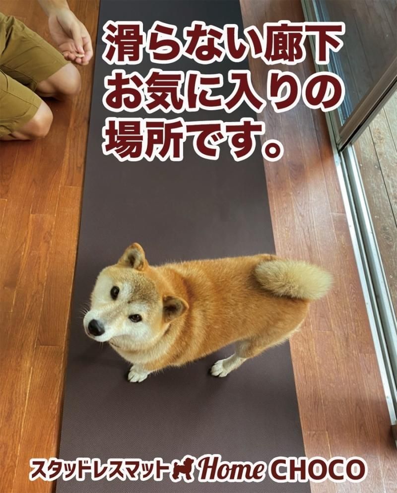 愛犬のための室内用 滑り止めマット Home Choco 65cm幅 長さ10cm単位販売