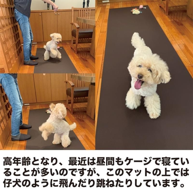 愛犬のための室内用 滑り止めマット Home Choco 65cm幅 長さ10cm単位販売