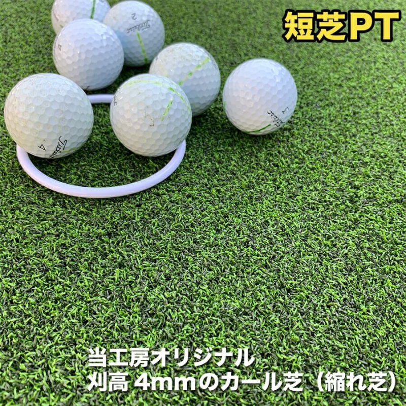 屋外】90cm×5m パット専用人工芝 ［短芝PT］【順目やや高速＆逆目標準】