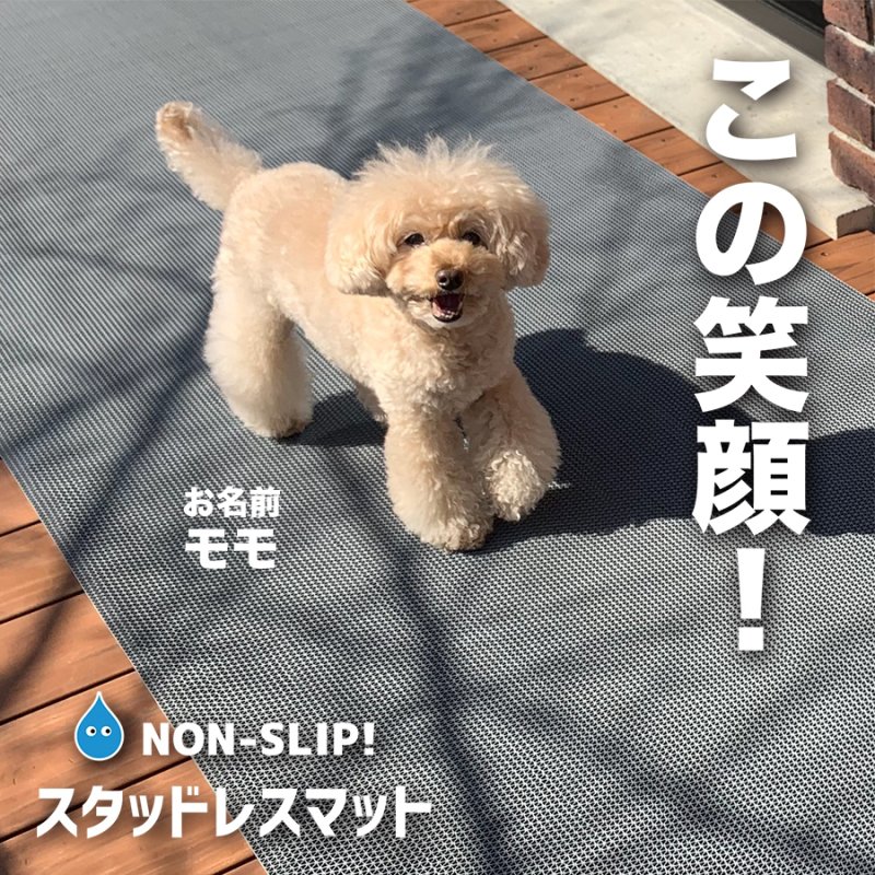 犬 販売 足 マット