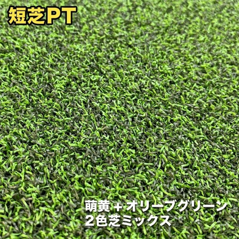 屋外】60cm×3m パット専用人工芝 ［短芝PT］【順目やや高速＆逆
