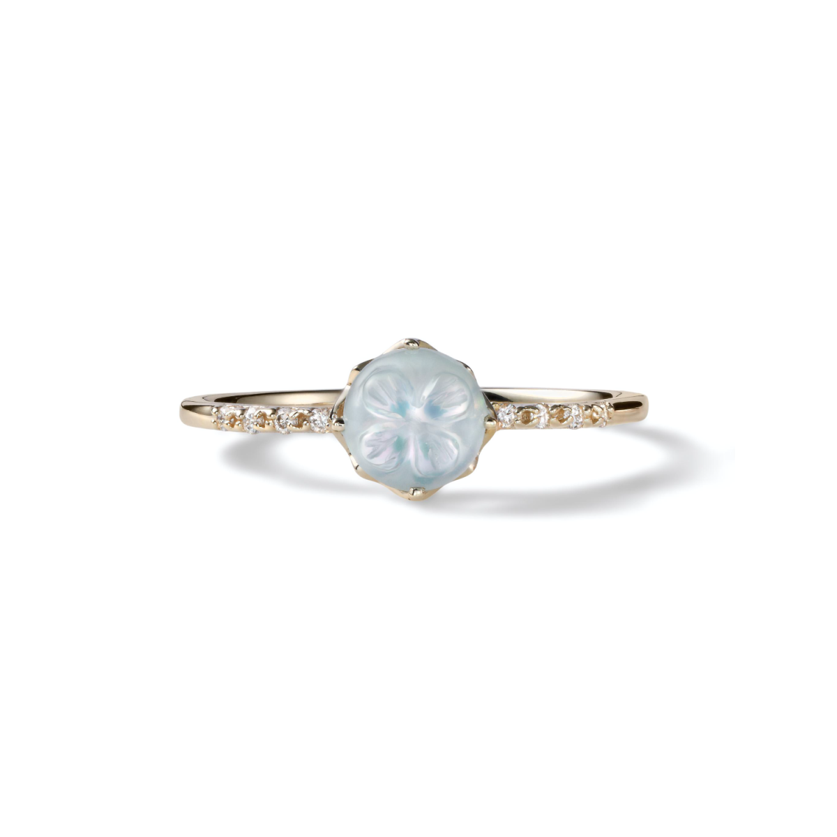 <img class='new_mark_img1' src='https://img.shop-pro.jp/img/new/icons13.gif' style='border:none;display:inline;margin:0px;padding:0px;width:auto;' />ڿ֥ۡե󥯥Сץ(10⥤)