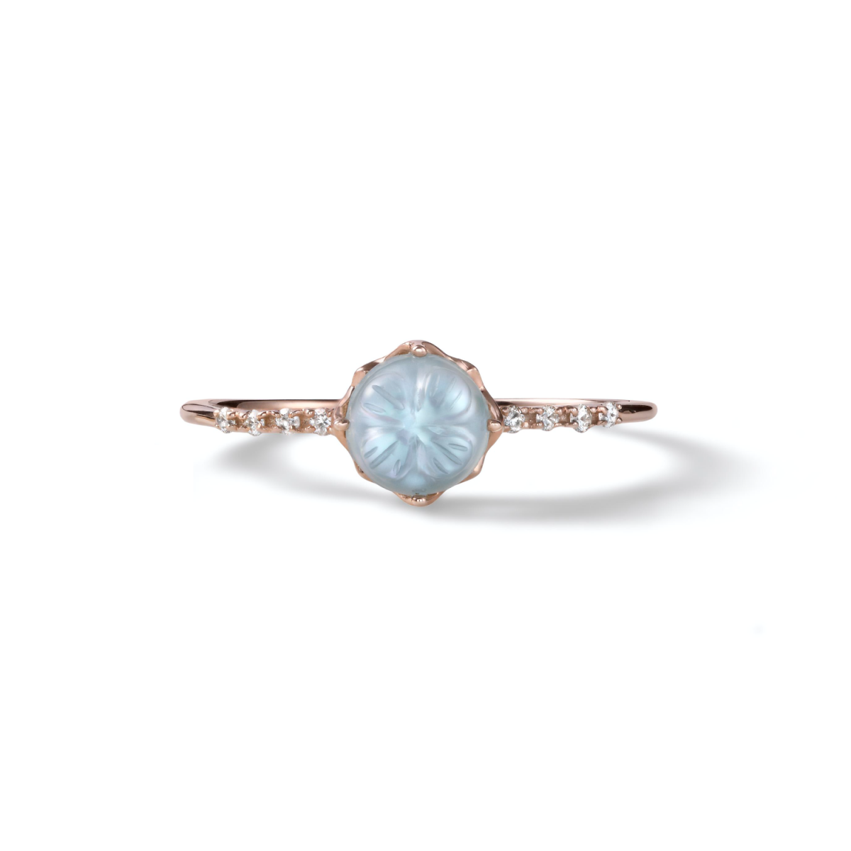 ڿ֥ۡե󥯥Сץ(10ԥ)