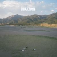 その他 LP Animal Collective Crestone (Original Score) DMNSTK005LP Domino /00260 ANIMAL COLLECTIVE - CRESTONE (ORIGINAL SCORE) (LP)