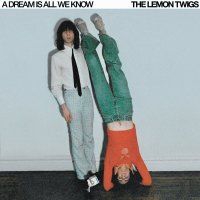 THE LEMON TWIGS - A DREAM IS ALL WE KNOW (CASS)
<img class='new_mark_img2' src='https://img.shop-pro.jp/img/new/icons9.gif' style='border:none;display:inline;margin:0px;padding:0px;width:auto;' />
