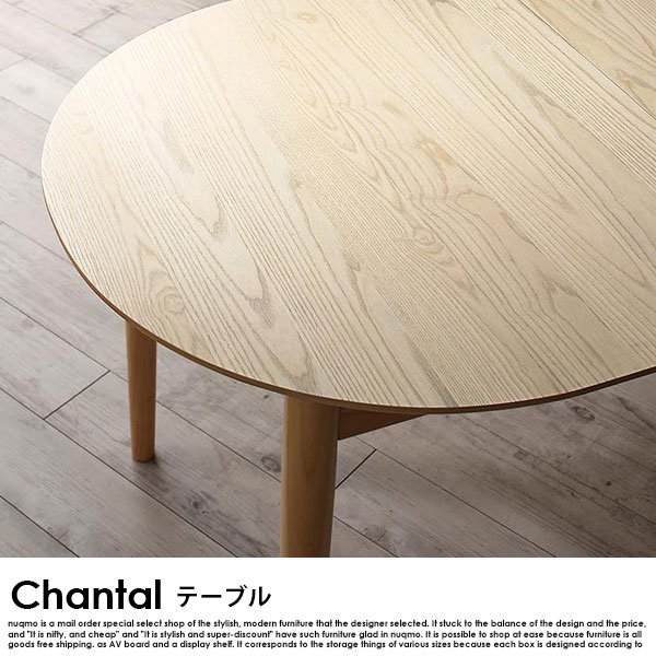 北欧デザイン伸長式オーバルダイニングセット Chantal【シャンタル】7点セット(テーブル+チェア6脚)  の商品写真その6