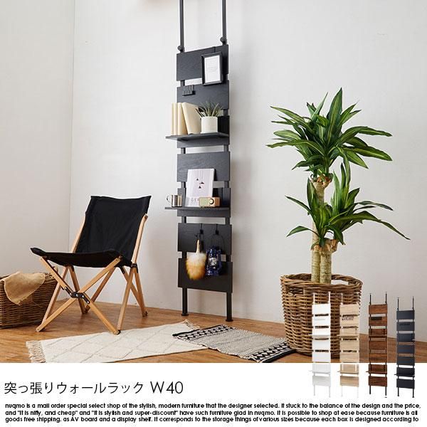 インテリア　ラック KOEKI 弘益 UTILITY HTR-P2(BR) スクリーンラック 117.5×30.5