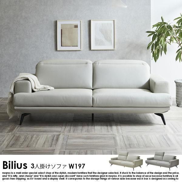ưؤ⤿쥶ե Biliusڥӥꥦ3ͳݤեξʼ̿