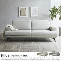 ưؤ⤿쥶ե Biliusڥӥꥦ3ͳݤեξʼ̿