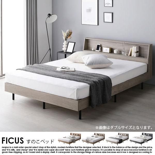 êդΤ٥å FICUSڥեۥܥͥ륳ޥåȥ쥹դ ֥ξʼ̿