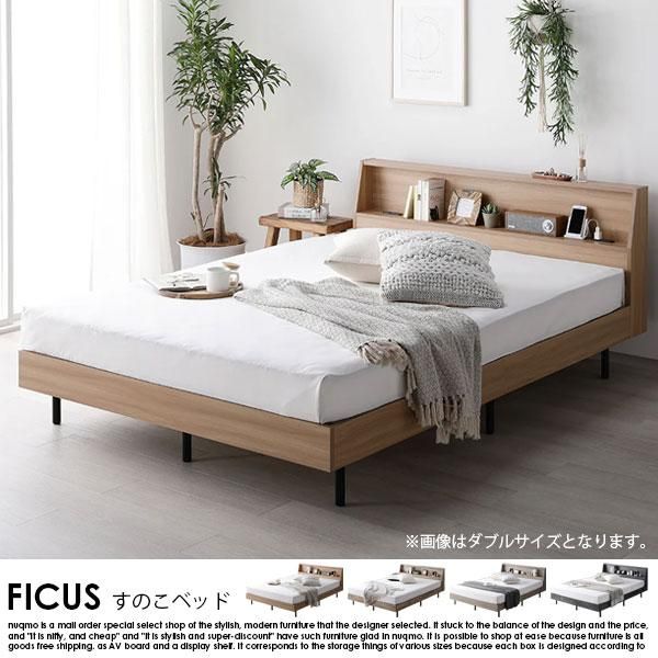 êդΤ٥å FICUSڥեۥܥͥ륳ޥåȥ쥹դ ֥ξʼ̿