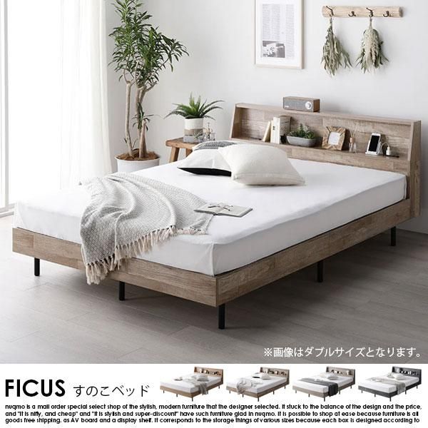 êդΤ٥å FICUSڥեۥܥͥ륳ޥåȥ쥹դ ֥ξʼ̿