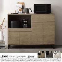  ǺMIX å󥫥󥿡 Lioraڥꥪ120cm