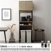 ǺMIX åܡɡʥȢǼ Lioraڥꥪ60cm