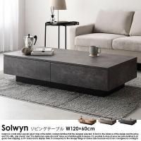  Фդ 󥿡ơ֥ Solwynڥ륦Ĺ 12060cm