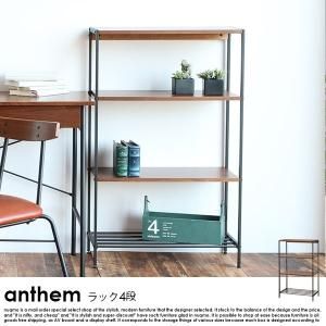 anthem【アンセム】シリーズ ハンガーラック 北欧