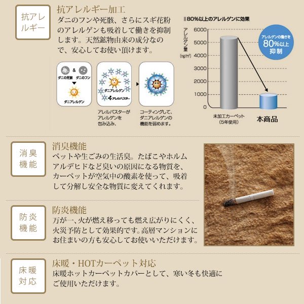 防ダニ・消臭・防炎・抗アレルギー機能付きフェイクファーラグ Rojye