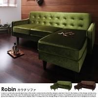ե Robinڥӥۤξʼ̿