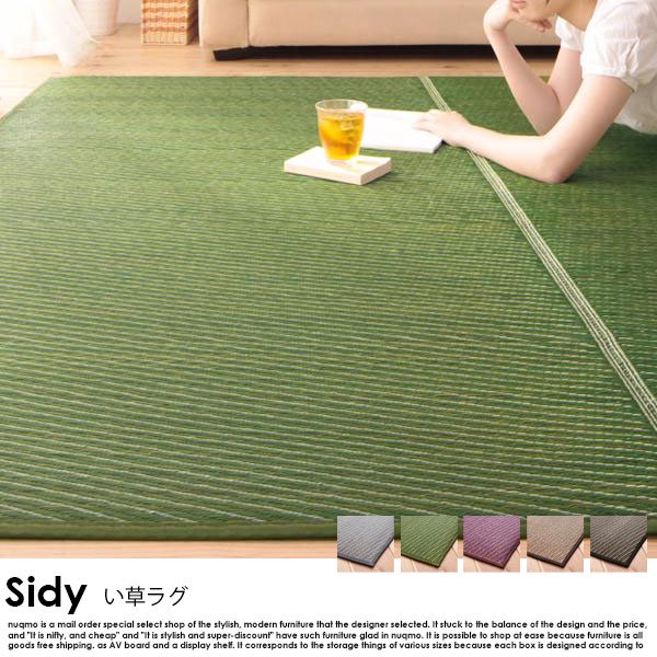 国産ふっくらい草ラグ Sidy【シディ】140×200cm - ソファ・ベッド通販