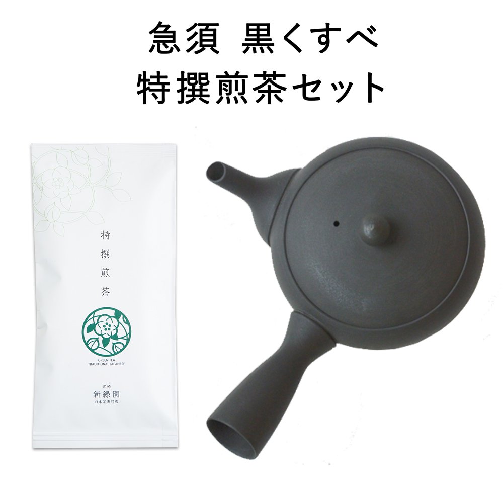 選べる急須と特撰煎茶100gセット（南景製陶園）