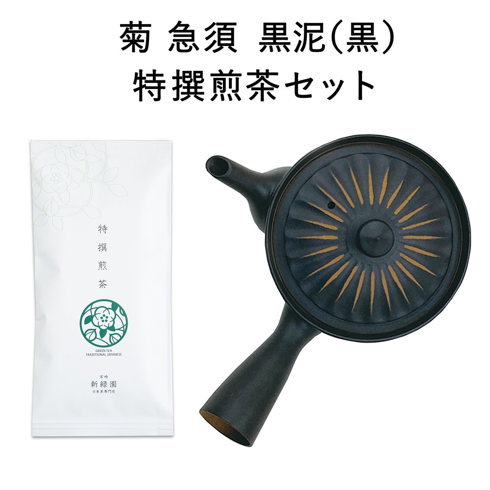 選べる急須と特撰煎茶100gセット（南景製陶園）