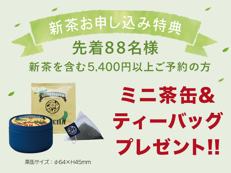 極上煎茶100ｇ【SN15】美味しい日本茶・緑茶のお取り寄せ・通販
