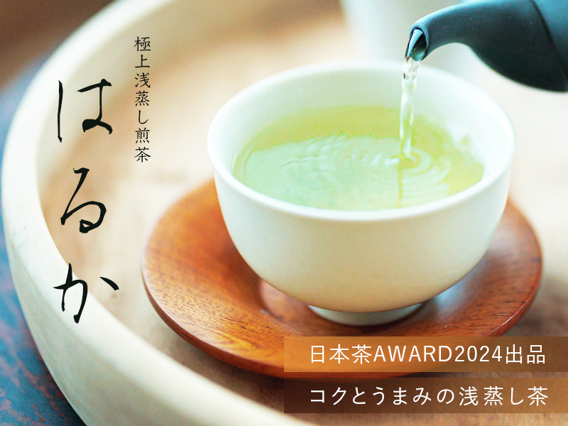 特撰煎茶100g【SN10】美味しい日本茶・緑茶のお取り寄せ・通販 特撰煎茶100g【SN10】美味しい日本茶・緑茶のお取り寄せ・通販