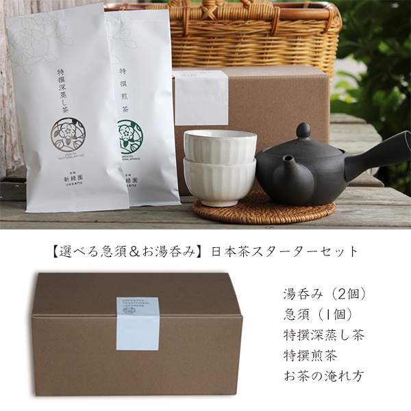 【選べる急須＆お湯呑み】日本茶スターターセット(湯呑み2個,急須,特撰深蒸,特撰煎茶)箱入り：新緑園のお茶