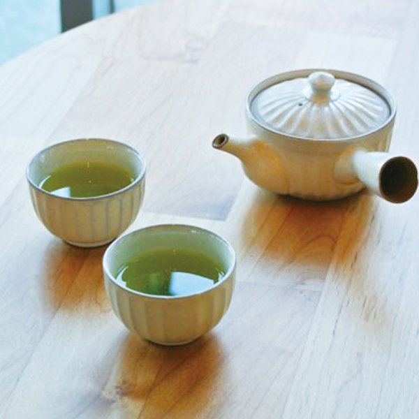 【選べる急須＆お湯呑み】日本茶スターターセット(湯呑み2個,急須,特撰深蒸,特撰煎茶)箱入り：新緑園のお茶