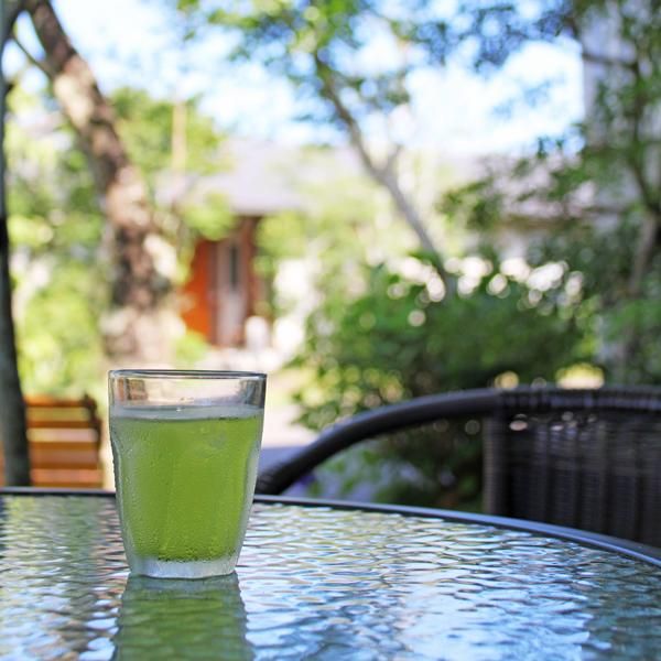 新茶 2023 特上煎茶ティーバッグ 5g×12包入 高級 深蒸し茶 緑茶