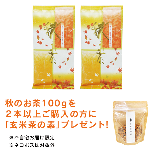 <img class='new_mark_img1' src='https://img.shop-pro.jp/img/new/icons5.gif' style='border:none;display:inline;margin:0px;padding:0px;width:auto;' />ֽΤ100g 2ܰʾǸǤĤбΤ