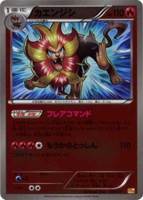 Pokemon》カエンジシ - トレカ通販・遊戯王通販・販売のDrawStage