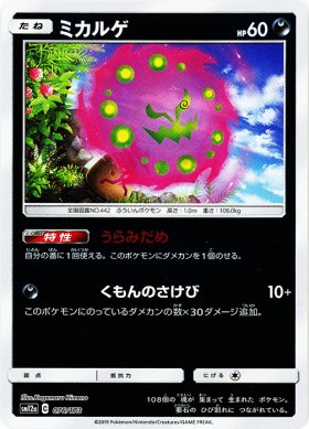 Pokemon ミカルゲ キラ仕様 トレカ通販 遊戯王通販 販売のdrawstage ドローステージ