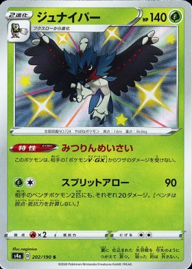 Pokemon ジュナイパー トレカ通販 遊戯王通販 販売のdrawstage ドローステージ