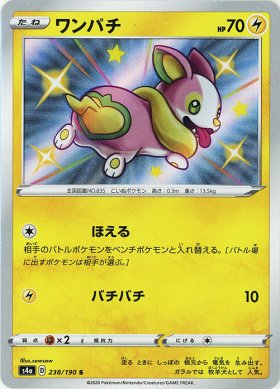 Pokemon ワンパチ トレカ通販 遊戯王通販 販売のdrawstage ドローステージ