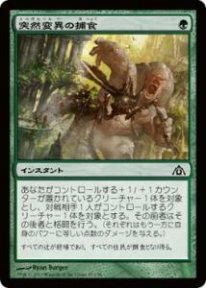 Mtg 突然変異の捕食 トレカ通販 遊戯王通販 販売のdrawstage ドローステージ