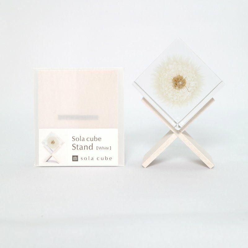 Sola cube 専用スタンド - CS online store - 岡山のデザイン Sola cube 専用スタンド - CS online store - 岡山のデザイン