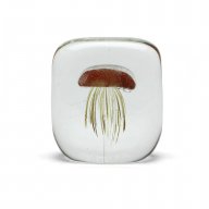 <img class='new_mark_img1' src='https://img.shop-pro.jp/img/new/icons57.gif' style='border:none;display:inline;margin:0px;padding:0px;width:auto;' />Jellyfish Paper Weight